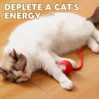 Interactive Cat Toys for Indoor Cats, Interactive Pet Toy Ball, Cat Toy Ball for Bored Indoor Cats, Smart Rolling Ball for Dogs & Cats (Red)