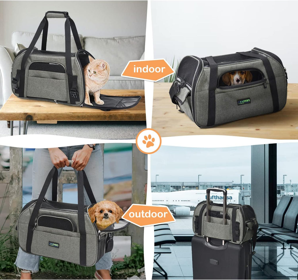Pink Cat Carrier - Soft-Sided Travel Bag for Cats & Kittens (Up to 15 lbs)