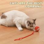 Interactive Cat Toys for Indoor Cats, Interactive Pet Toy Ball, Cat Toy Ball for Bored Indoor Cats, Smart Rolling Ball for Dogs & Cats (Red)
