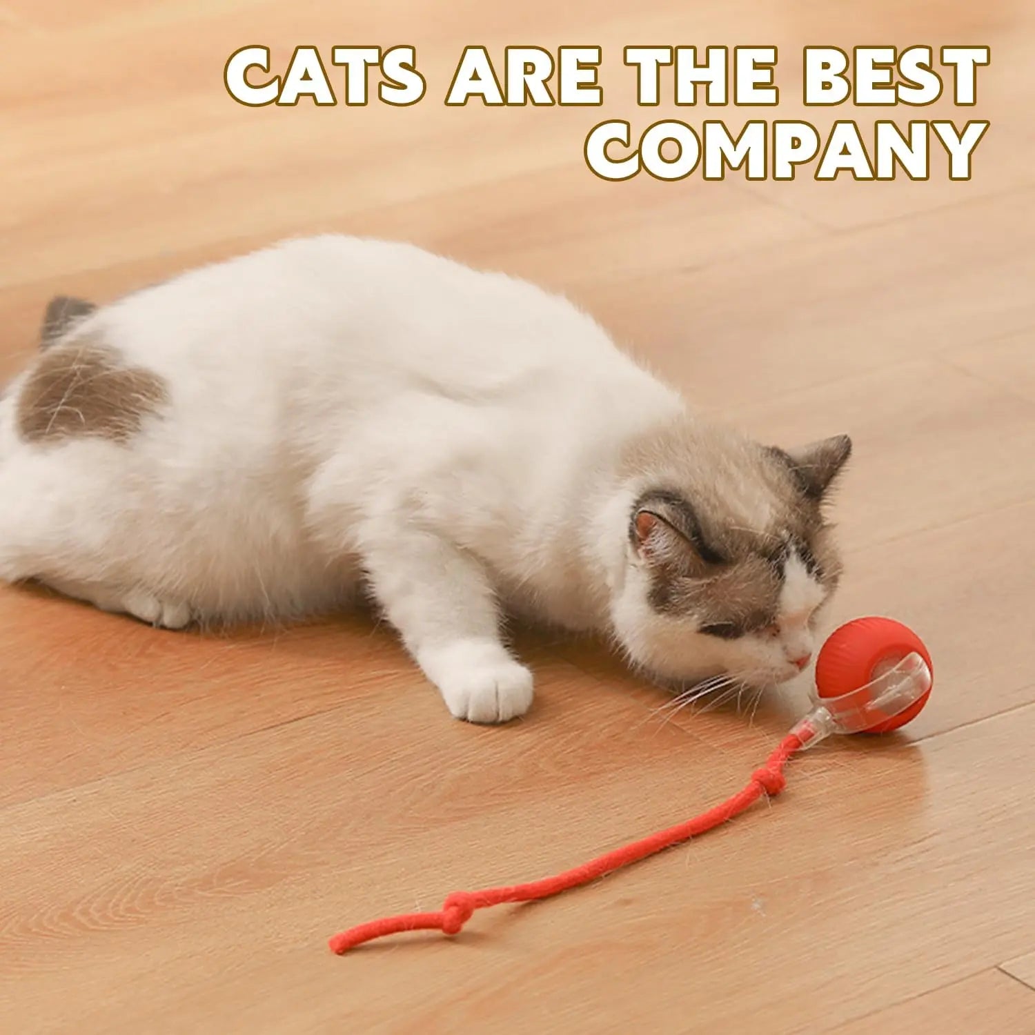 Interactive Cat Toys for Indoor Cats, Interactive Pet Toy Ball, Cat Toy Ball for Bored Indoor Cats, Smart Rolling Ball for Dogs & Cats (Red)