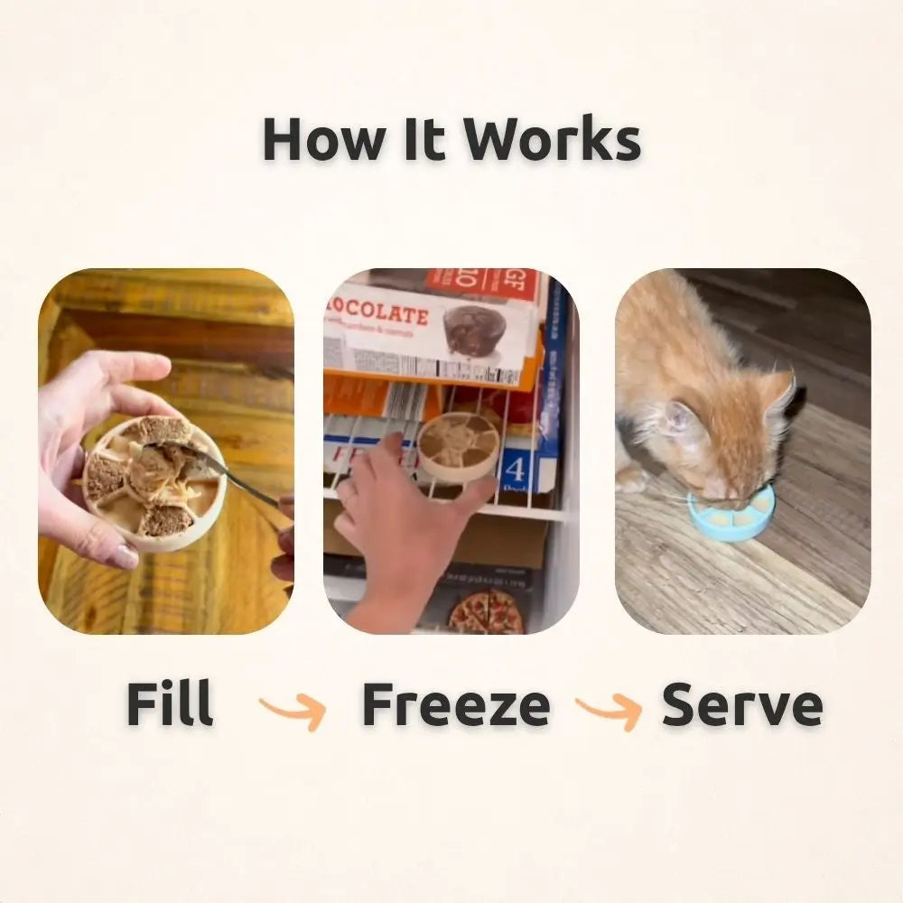 Freezspin Interactive Cat Toy - Durable Self-Play Cat Entertainment