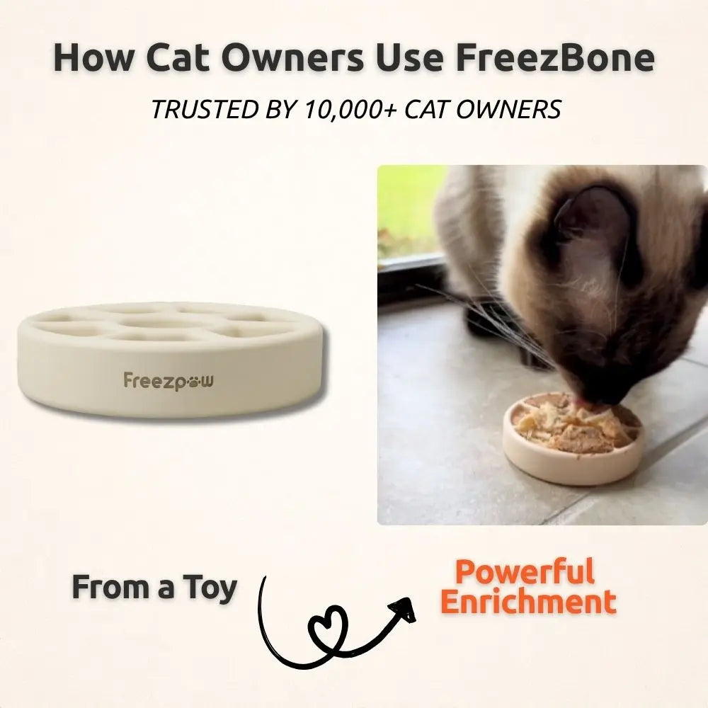 Freezspin Interactive Cat Toy - Durable Self-Play Cat Entertainment
