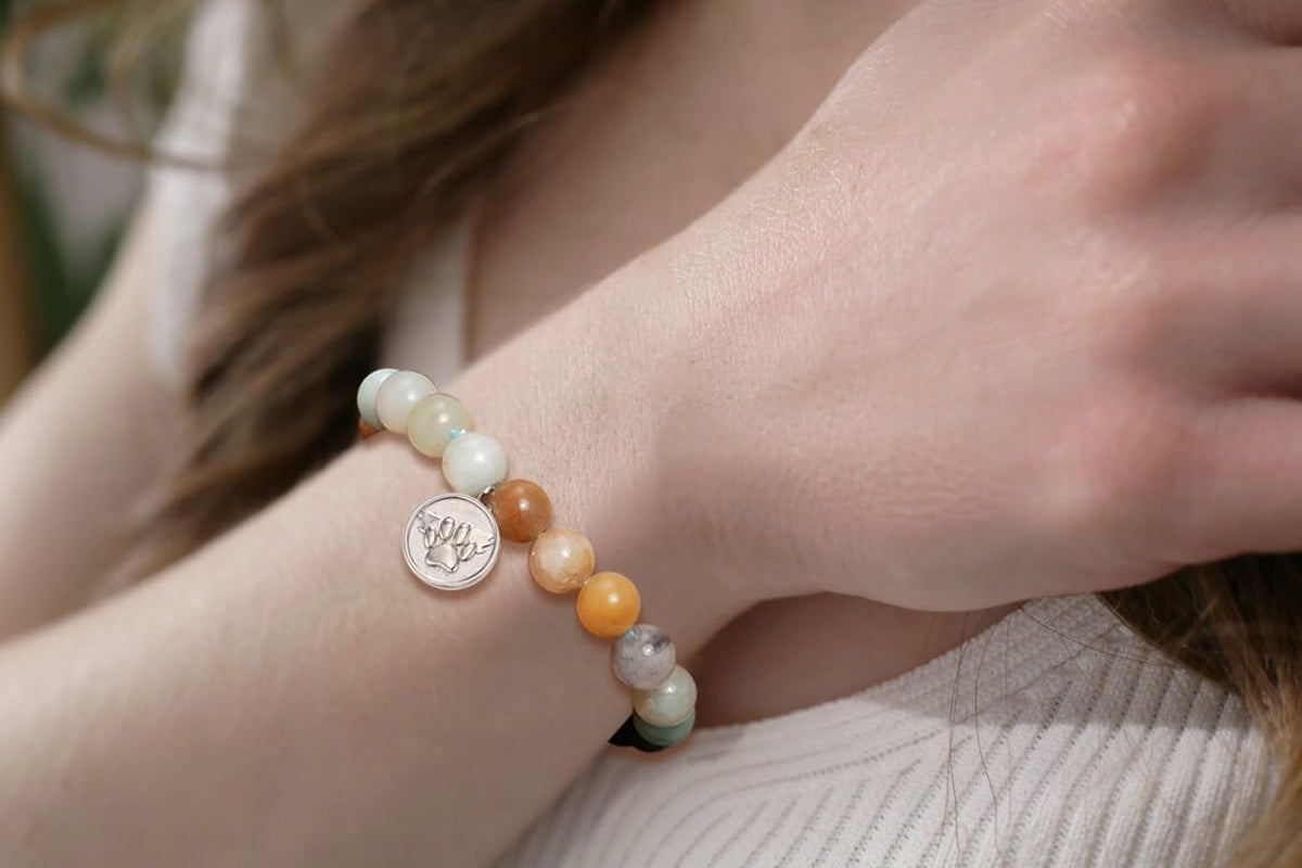 Rainbow Bridge Pet Memorial Gifts Loss of Pet Sympathy Gift Dog Cat Memorial Gif