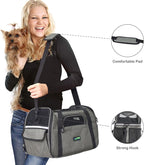 Pink Cat Carrier - Soft-Sided Travel Bag for Cats & Kittens (Up to 15 lbs)