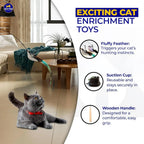 Cat Toy Wand Auto Interactive Toys for Indoor Cat 10 in 1 Hands-Free Natural Bird Feather Ball Toys, Suction Cup Pet Dancing Playing Toy