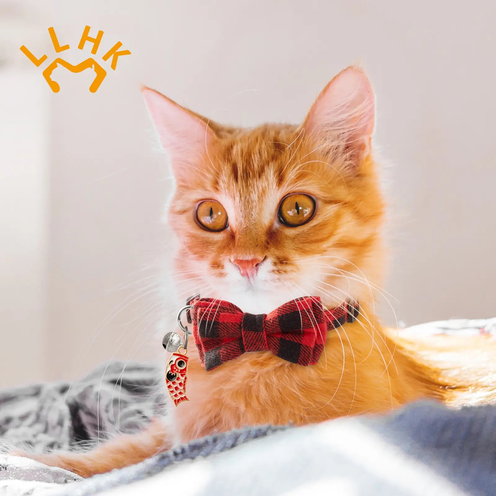 2 Pack Small Fish Cat Collars with Bow Tie and Bell,Personalized Breakaway Kitten Collar for Girl Boy Cats,Adjustable 7-12Inch,Cute for Kitty Kitten Adult Cats,Pet Supplies,Stuff,Accessories