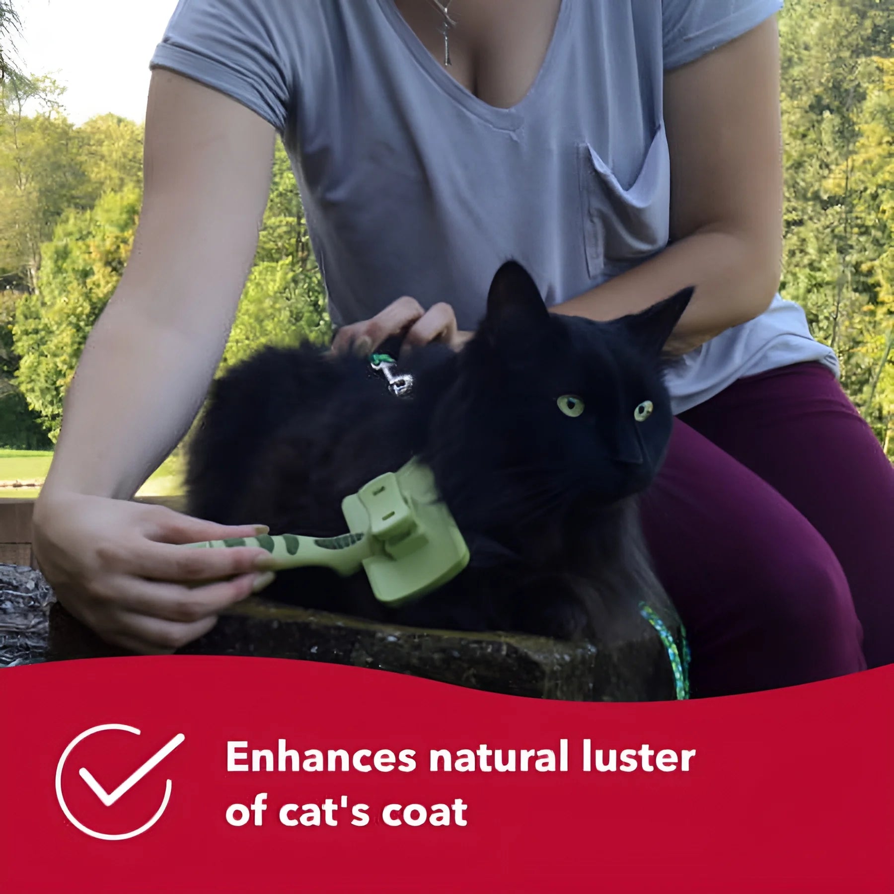 Safari Self-Cleaning Cat Slicker Brush - Easy Push-Button Cleanup