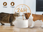 Ceramic Cat Water Fountain — Modern Aesthetic Pet Drinking Fountain