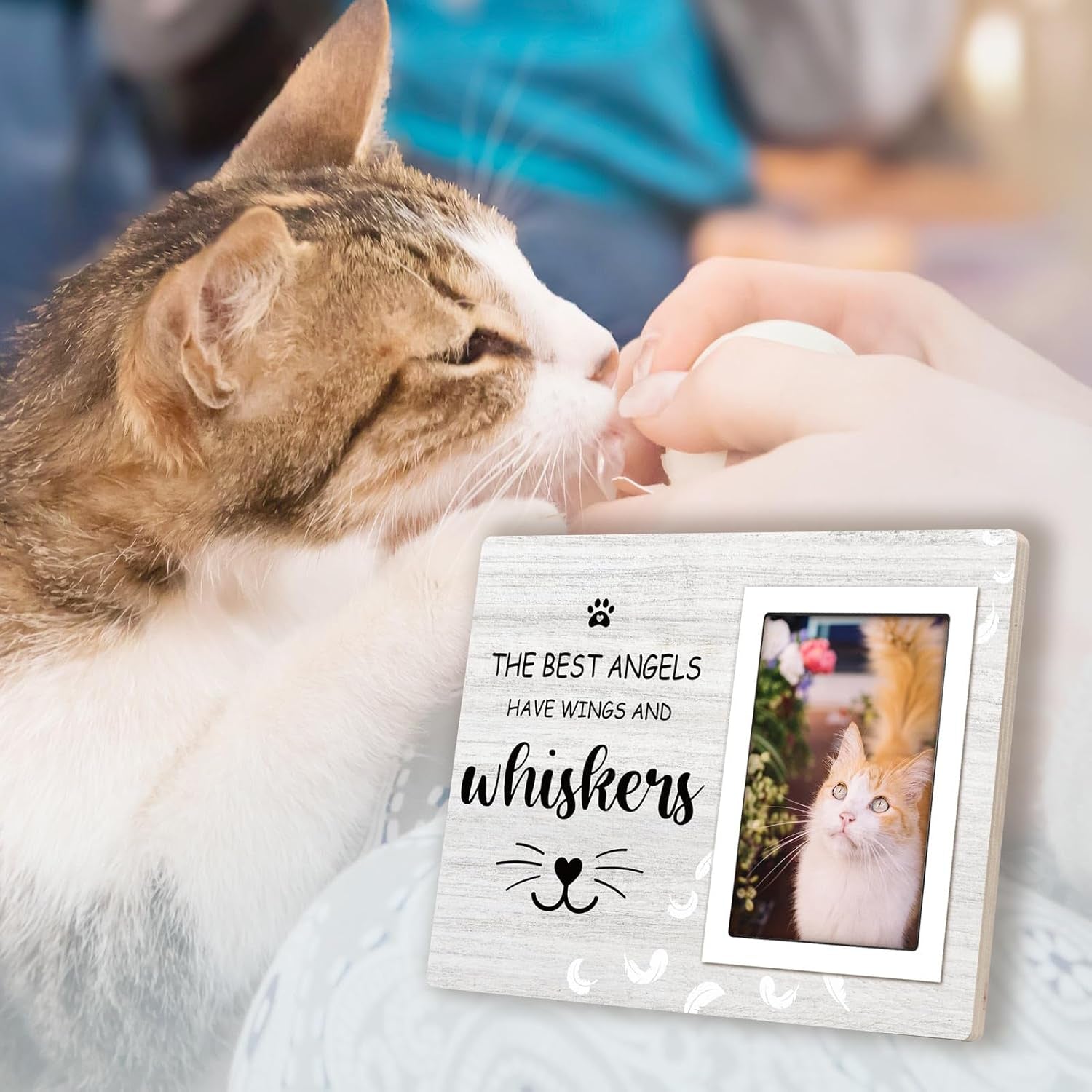 Cat Memorial Gifts for Loss of Cat, Cat Memorial Picture Frame, Cat Loss Sympath